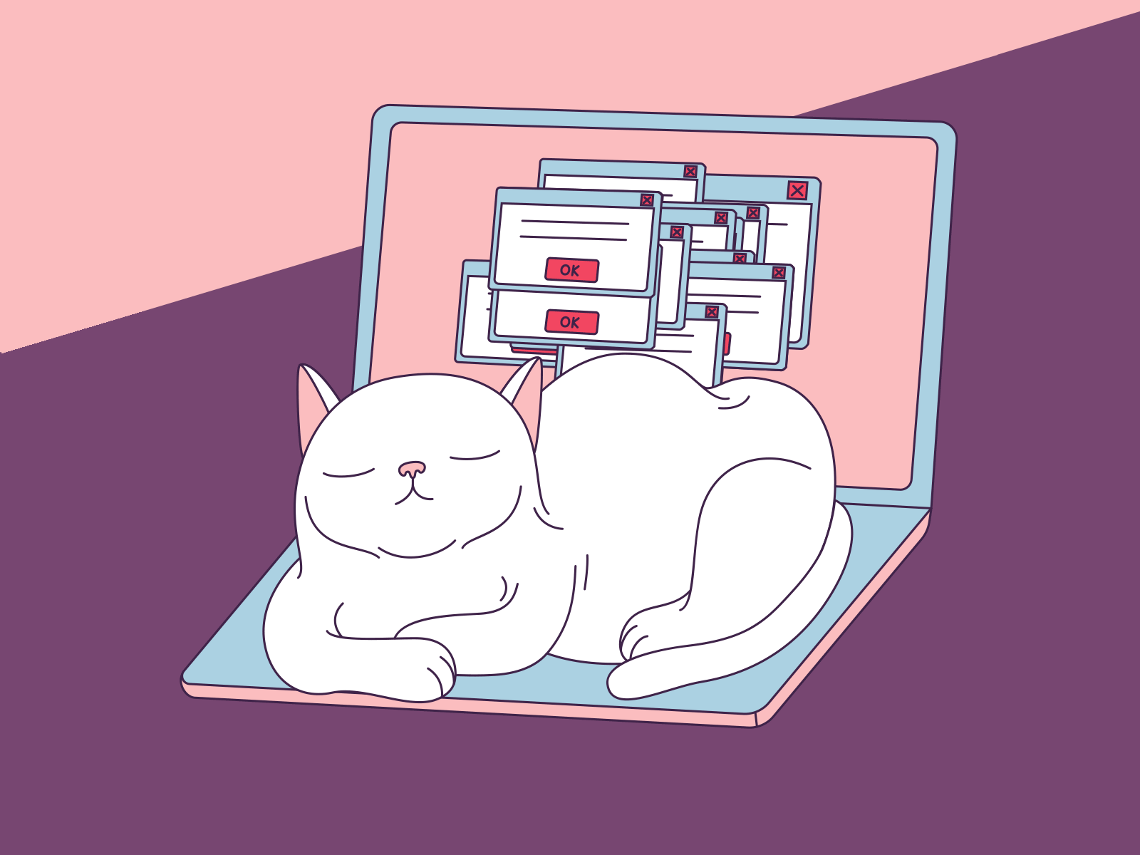 Meet Snowball animation cat design fun gif illustration laptop motion