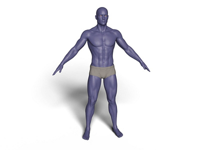 3D Anatomy 3d 3d art 3d modeling anatomy modeling