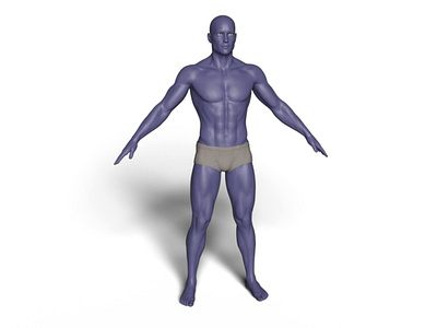 3D Anatomy