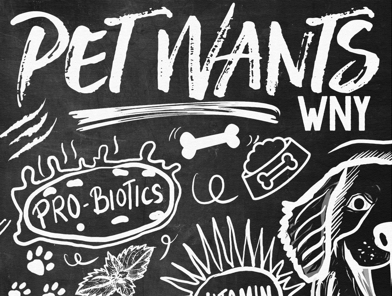 pet-poster-by-i-am-charithmania-on-dribbble