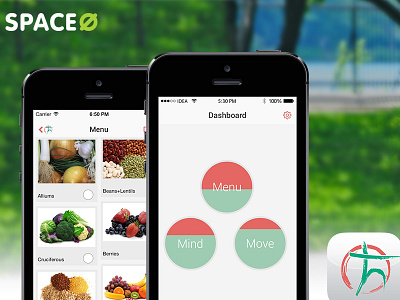 HealthTransforme circle dashboard food app healthtransforme iphone 6 menu card ux