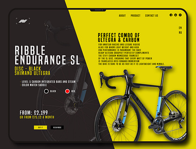 Ribble Endurance SL Bike art branding design icon illustraion illustration photoshop typography uidesign vector