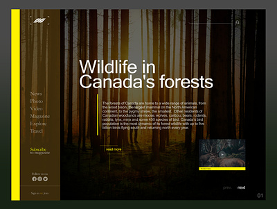 Wildlife in canada's forest app branding design illustraion illustration logo ui uidesign ux uxdesign web website