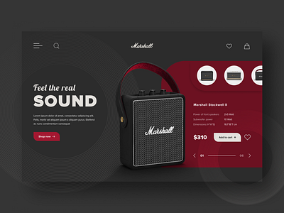 Music Speakers Marshall UI/UX Design Concept