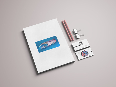 Branding Zontjk Design artwork branding businesscard catalogue design graphicdesign logo product typography umbrellas