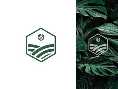 plant logo concept