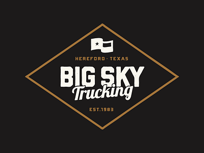 Big Sky Trucking delivery logistics logo shipping texas transorations trucking