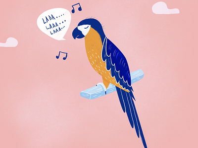 Macaw..Singing parrot