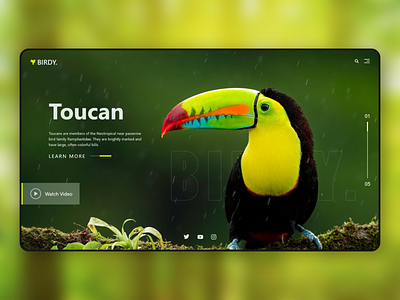 Bird Hero Section app bird bird icon branding design ui ux web website