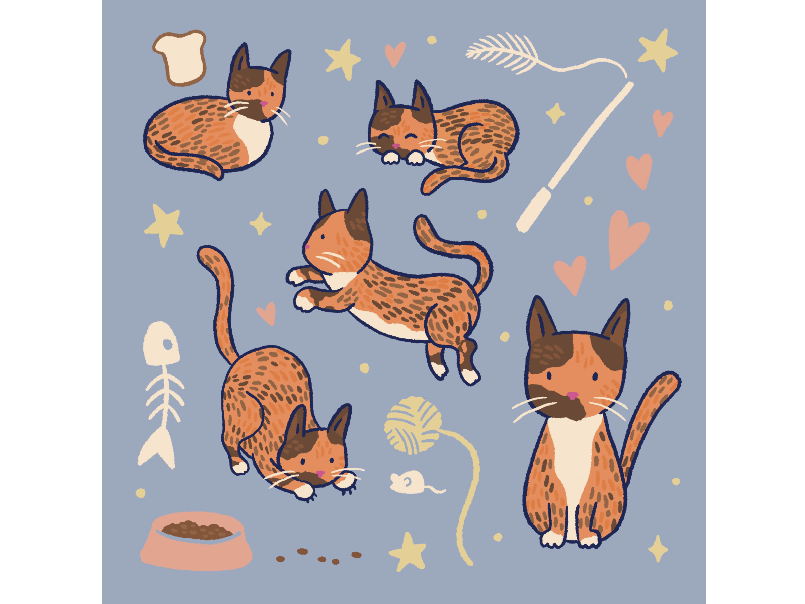 Cat doodles by Katie Nieland on Dribbble