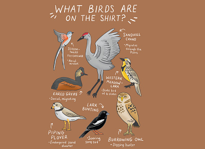 Bird shirt graphic animals art birds drawing graphic design illustration nature procreate procreate art