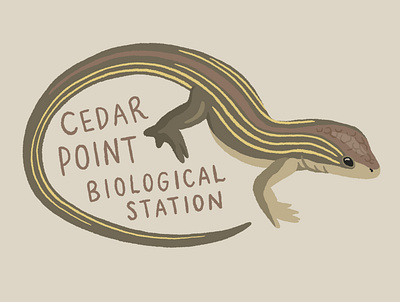Race runner lizard sticker art digital art drawing illustration nature procreate sticker