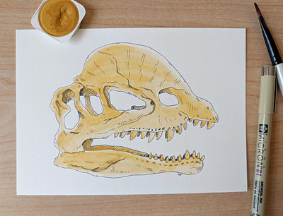 Dilophosaurus skull art dinosaur drawing ink skull watercolor