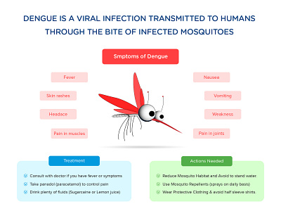 Dengue Infographics dengue design dengue infographics design health infographic illustration malaria design malaria infographic medical illustration medical infographic