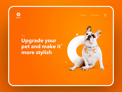 AstroPets | Store Design catalog dog ecommerce education interface orange pets shop shopping shopping app ui ux web webdesign webshop wesite