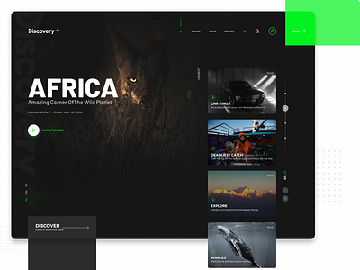 DiscoveryPlus Website Concept