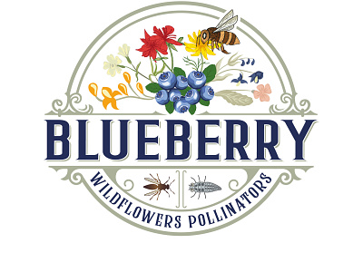 Blueberry logo design