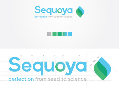 Sequoya Logo Design art branding design flat icon illustration illustrator logo minimal vector