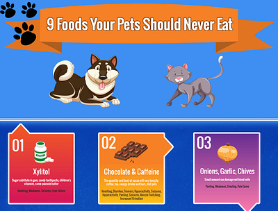 9 Foods Your Pets Should Never Eat Infographic Example branding design illustration infographic