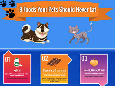 9 Foods Your Pets Should Never Eat Infographic Example