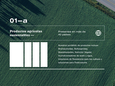 Grupo Fagro agriculture international proposal rebranding sustainable ui ux website