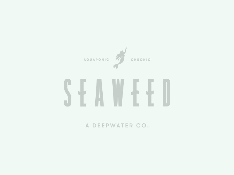 Seaweed