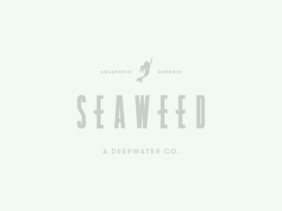 Seaweed