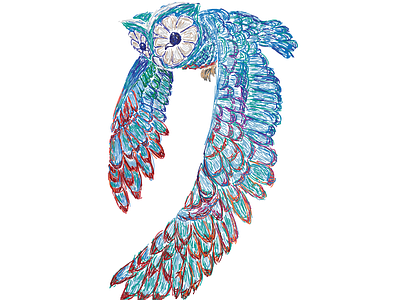 Owl Drawing animal bird colorful illustration lines owl