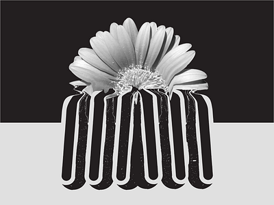 P E T A L S black and white flowers illustration mix media photography vector