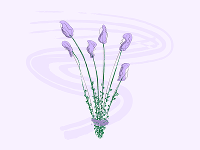 lavender bunch bouquet flowers handmade lavender nature purple scribble simple sketch
