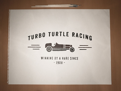 Turbo Turtle Racing acrylic handtype logo painting racecar typography vintage
