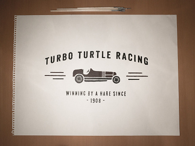 Turbo Turtle Racing