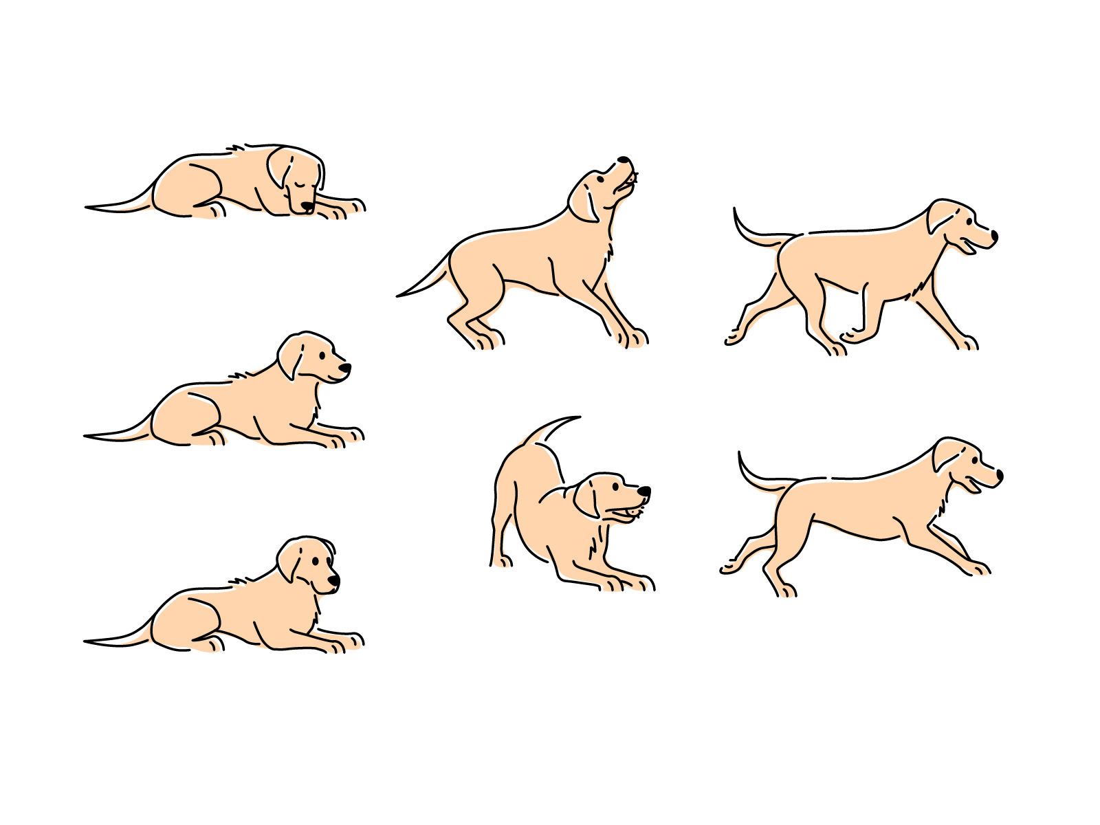 Illustrations dog poses by Tanya Buhinskaya on Dribbble