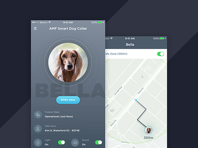 Pet Tracking Smart Coller design dog find ios lost map pet tracking ui