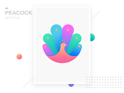 PEACOCK bird peacock