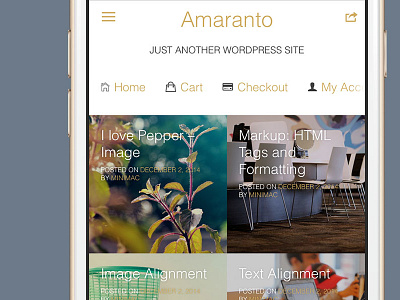 Amaranto Mobile Perfection Wp Theme for Woocommerce