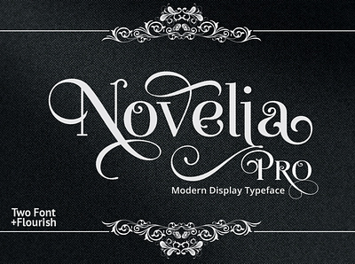 Novelia Pro branding display font lettering modern modern font sans serif serif font type typeface typography
