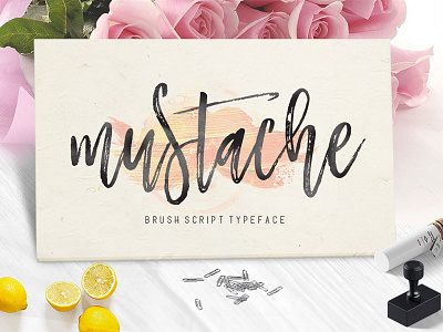 Mustache Brusht Script branding design illustration illustrator lettering logo type typography vector web