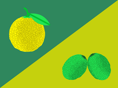 Grapefruit Vs Limes grapefruit illustration lime