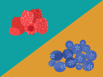 Raspberries Vs Blueberries blueberries illustration raspberries