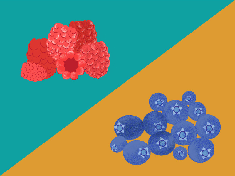 Raspberries Vs Blueberries by Dylan Taylor on Dribbble