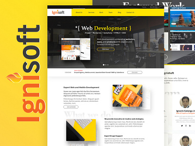 Ignisoft (2016) clean cleanliness homepage ignisoft logo ui ux yellow