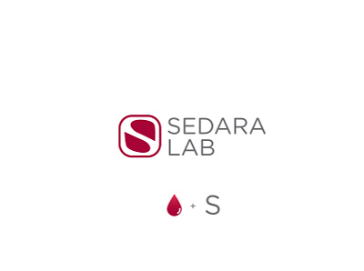 Sedara - Initial Concept branding design logo typography vector