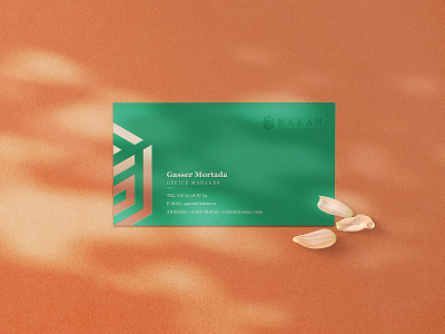 Rakan real-estate branding branding business card businesscard design logo stationery vector