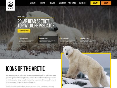 WWF Canada Website - Redesign UI Project uidesign web ui wild wwf