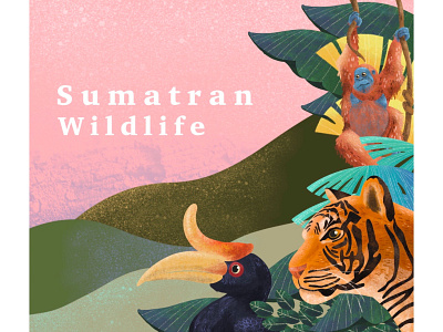 Sumatran Wildlife bird digital illustration illustration procreate sumatran tiger tiger tropical wildlife