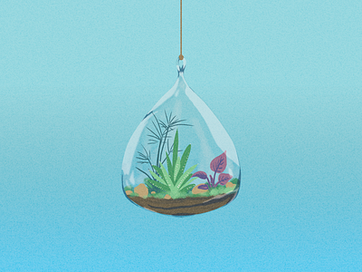 Island in the Sky ecology glass hanging illustration nature plant plants terrarium