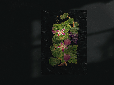 Vine & Fig Tree botanical broadway design floral flower graphic design hamilton illustration musical plants