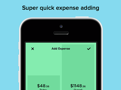 Pennies for iPhone – Add Expense Screen app budget dollar expenses green ios8 iphone iphone6 money timer