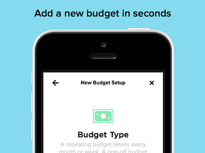 Pennies for iPhone – Budget Setup Screen